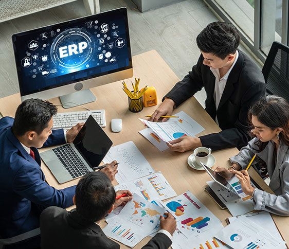 Enterprise Software Development Services