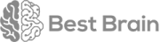best-brain-logo-gray-y